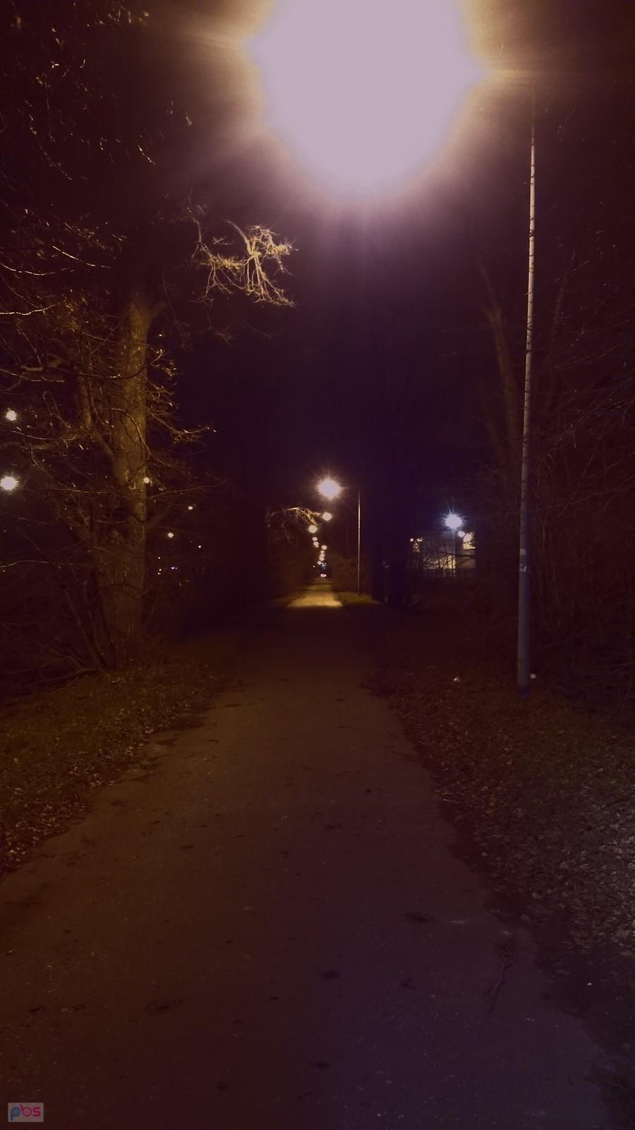 "Nocą" przy alejce drzew