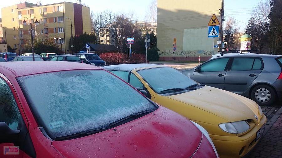Za oknem piękna pogoda - mimo to mrozek trzymał