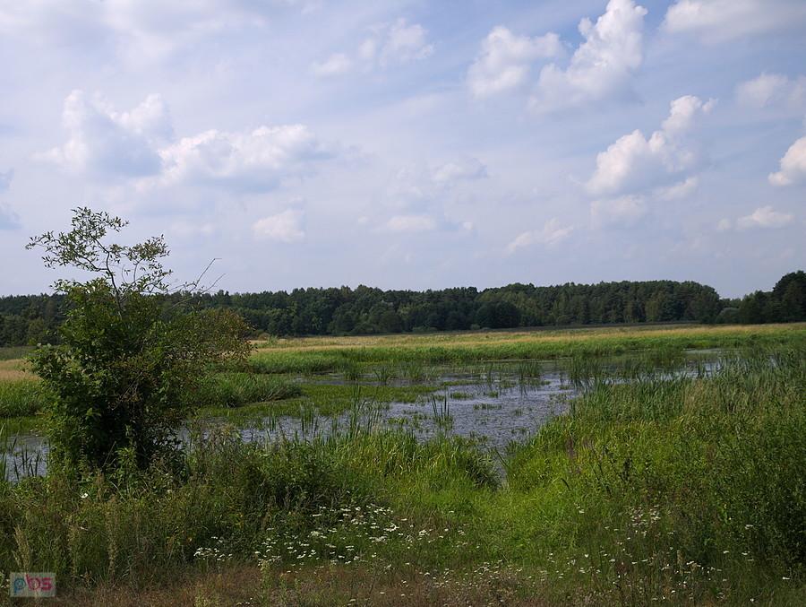 Murowaniec - rozlewiska rzeki Luciąży