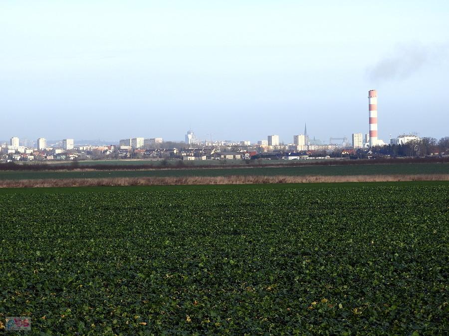 Panorama Szczecina - widok z drogi Kurów - Przecław.