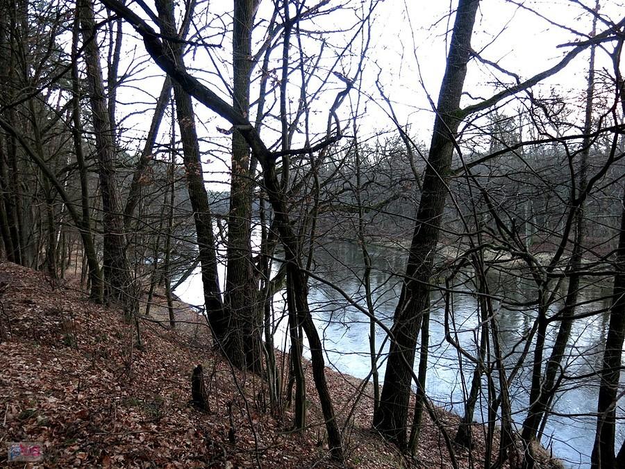 Punkt widokowy nad Pilicą