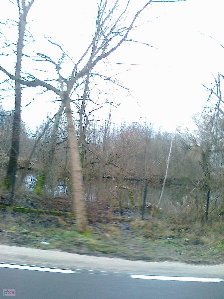 Drugi staw w Umiastowie