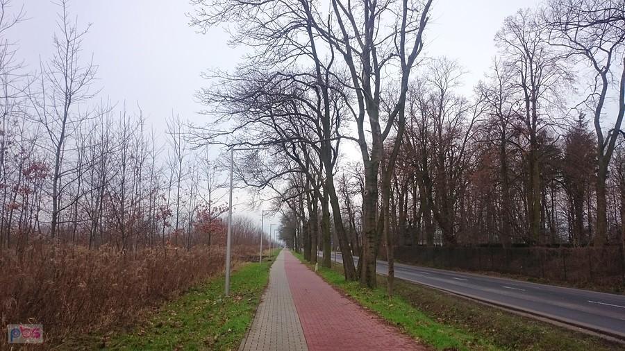 Strzykuły - Kaputy