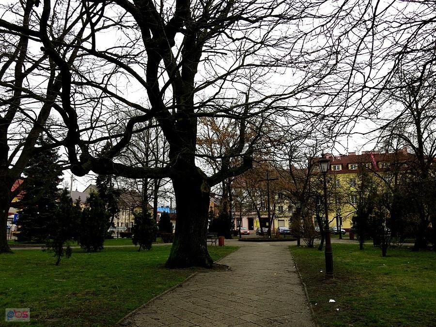 Na Placu Marszałka Józefa Piłsudskiego w Rawie Mazowieckiej