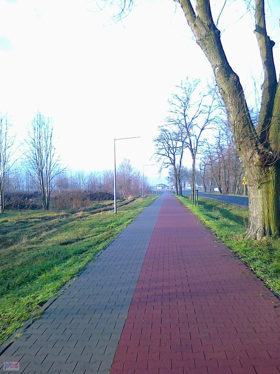 Piękny słoneczny dzień
