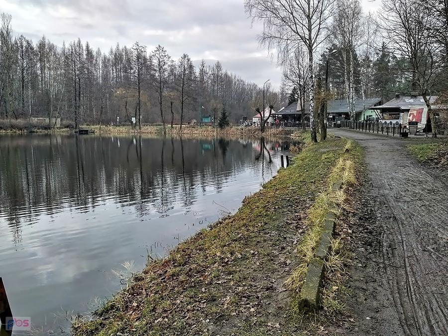 Staw Janina