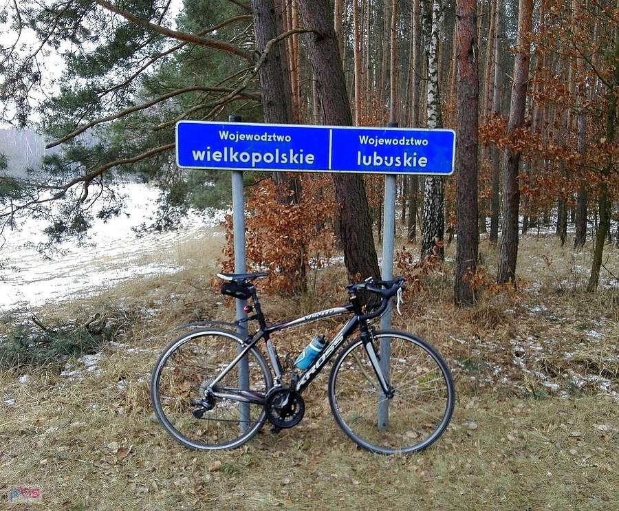 Podsumowanie 2017 - lutowe na minusie przez województwa