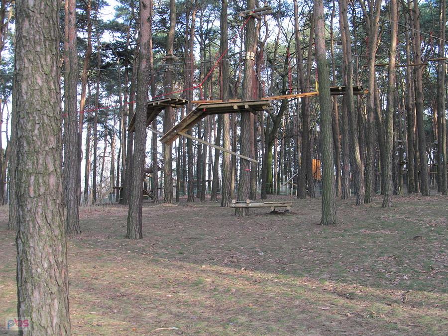 W Parku Linowym - Głowno