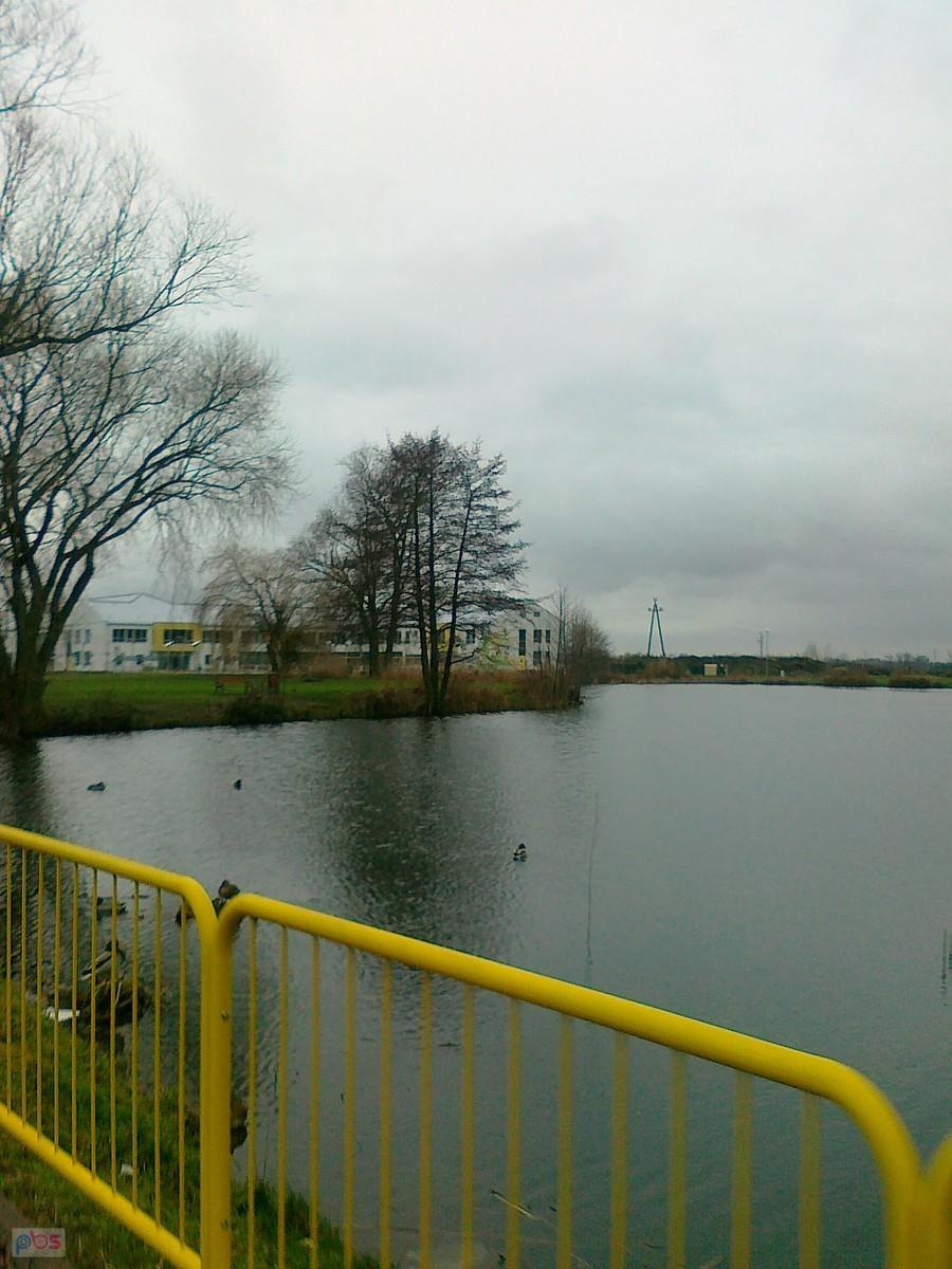 Staw w Zielonkach