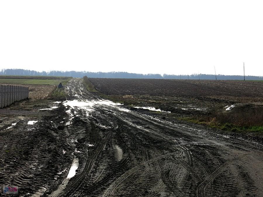 Droga do źródeł Królewskich i groty skalnej - niestety nie pojadę nią dzisiaj, sprobuje z drugiej strony, będzie mnie to kosztowało dodatkowo ok. 10 km