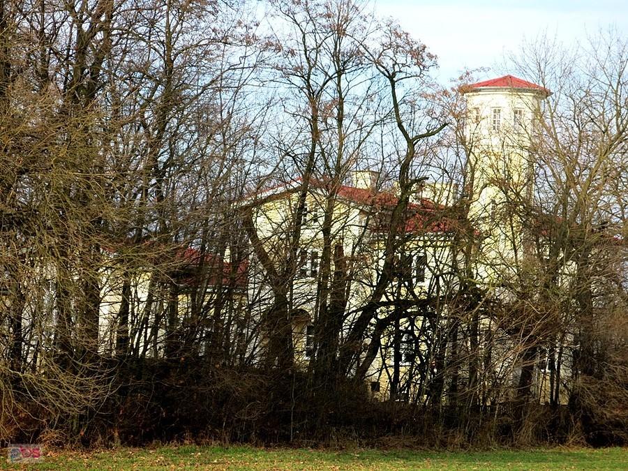 Przed dworem w Szynczycach