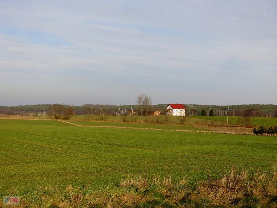 Falisty teren