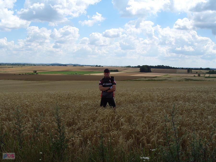 Laskówka i w stronę Złotego Stoku