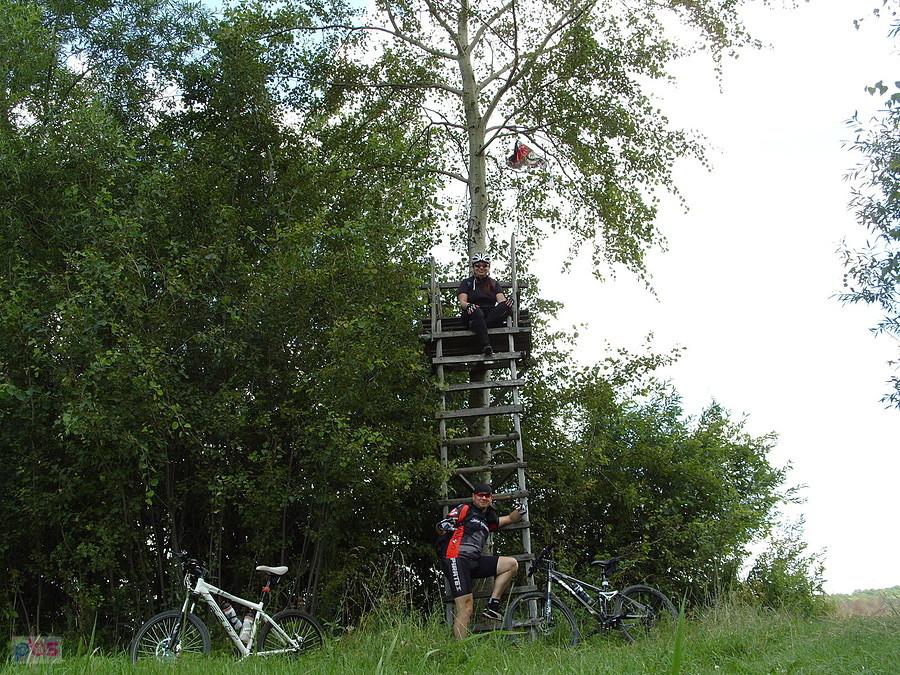 Wysiadka dla mordulców