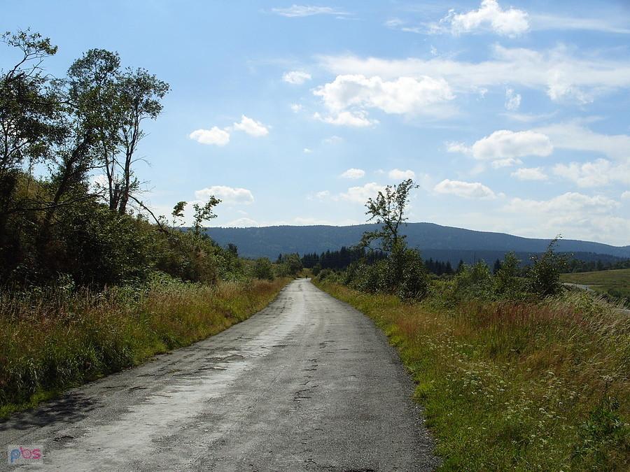 Jedziemy na koktail na Spaloną