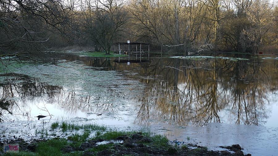 Gorzyca , Obra wystąpiła z brzegów