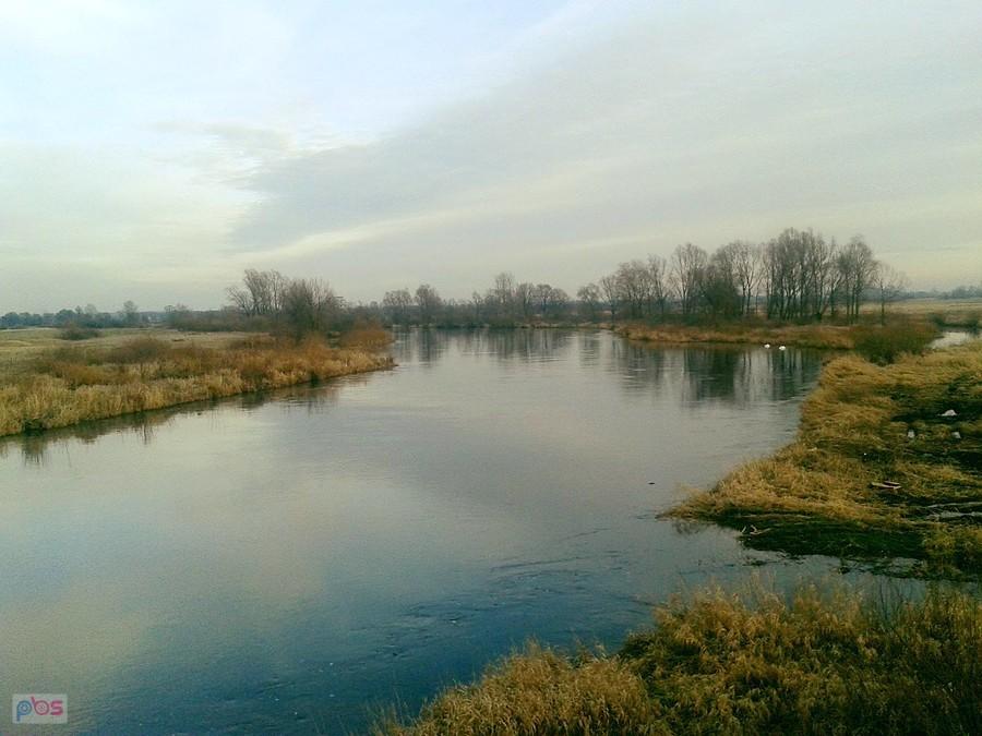 Rzeka Warta w Biskupicach - widok z mostu