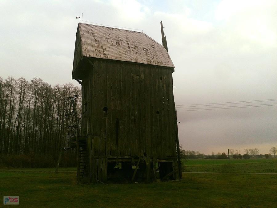 Wiatrak kozłowy