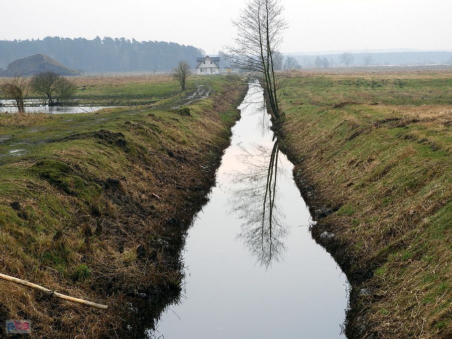 Widok z mostku pod Sławoszewem.