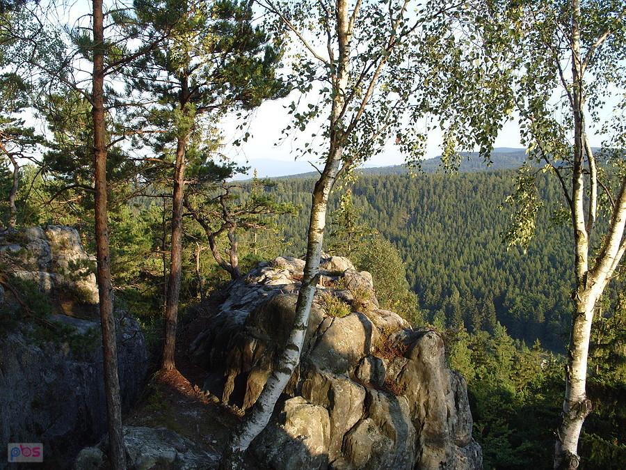 Widok ze Szczytnika