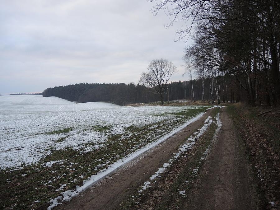 Leśna droga Śmieszkowo - Czarnków