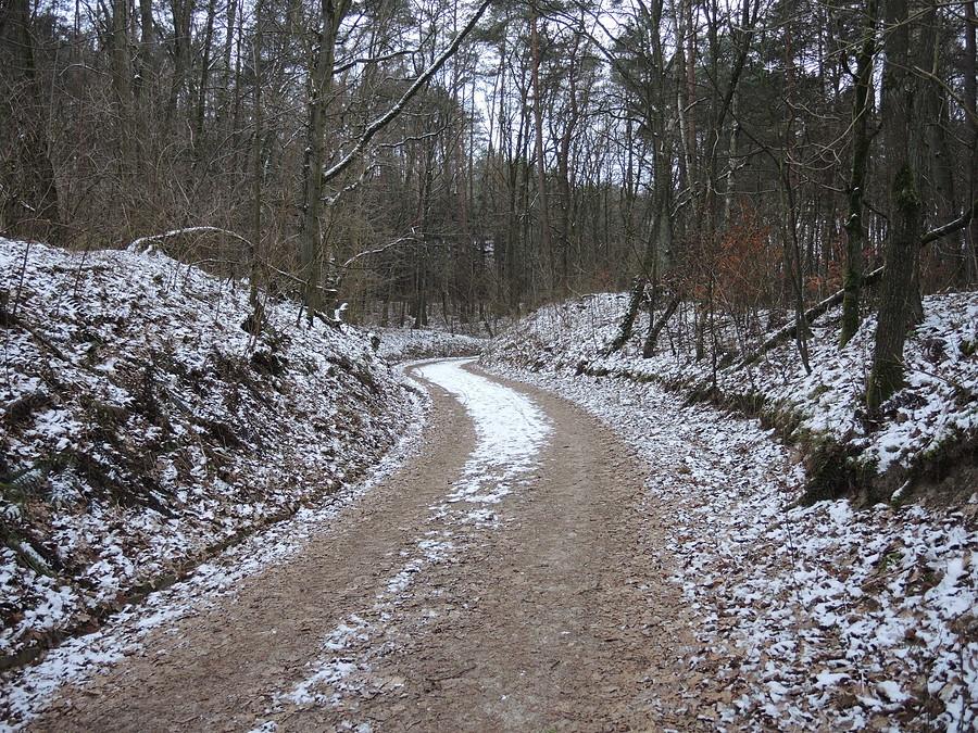 Takie ładne zimowe klimaty...