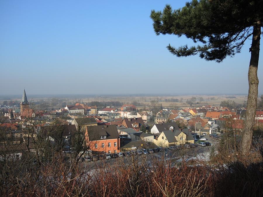 Góra Krzyżowa i widok na Czarnków