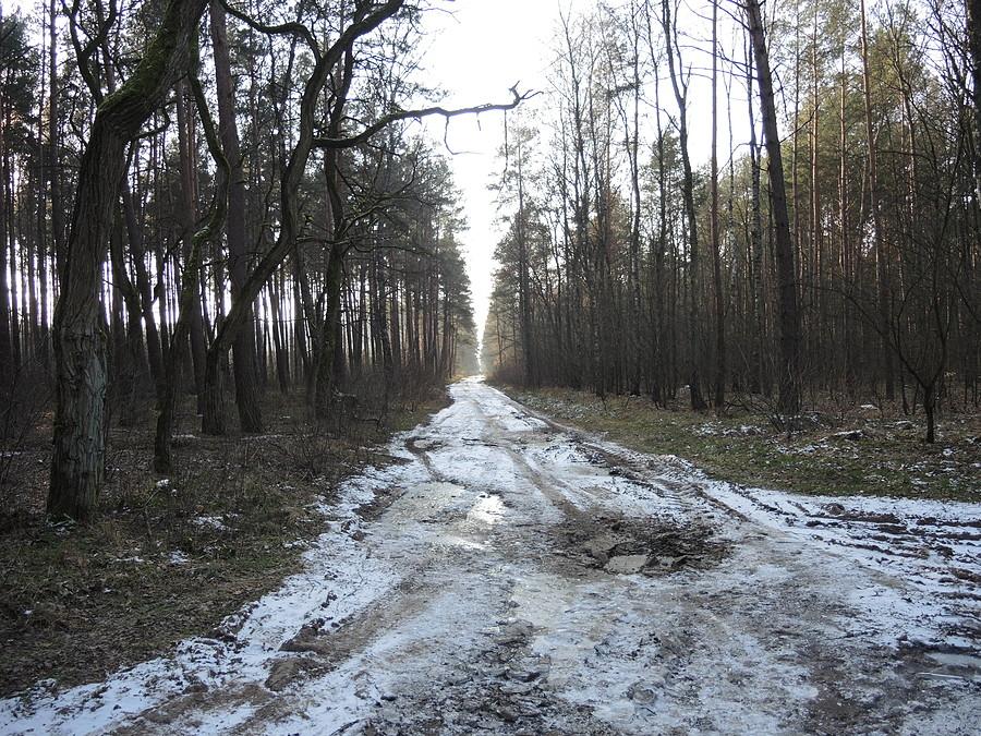 Zimowe klimaty
