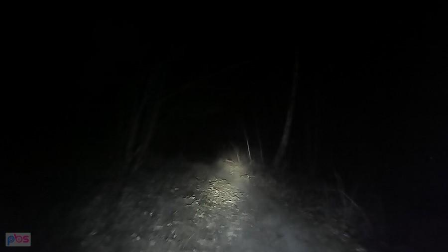 Wąska ścieżka na ścieżce w pobliżu potoku Bielszowickiego
