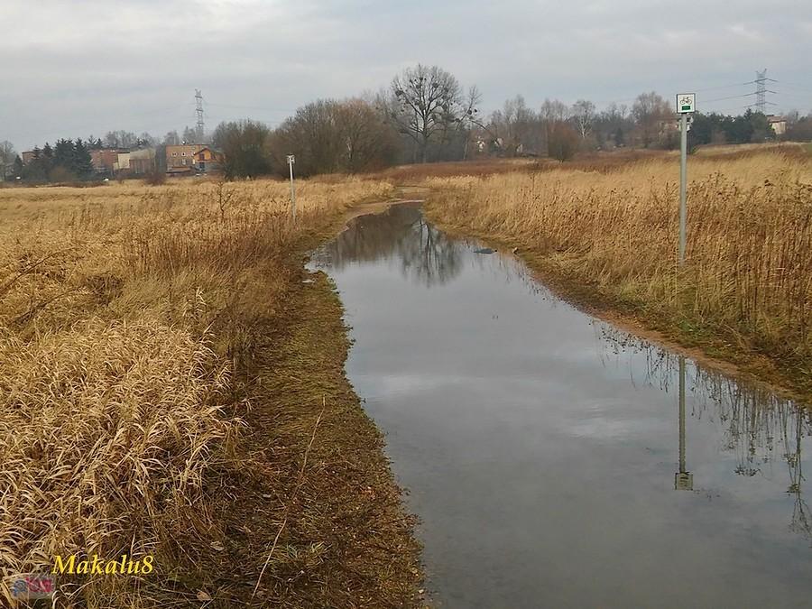 Ciepły styczeń nad Brynicą