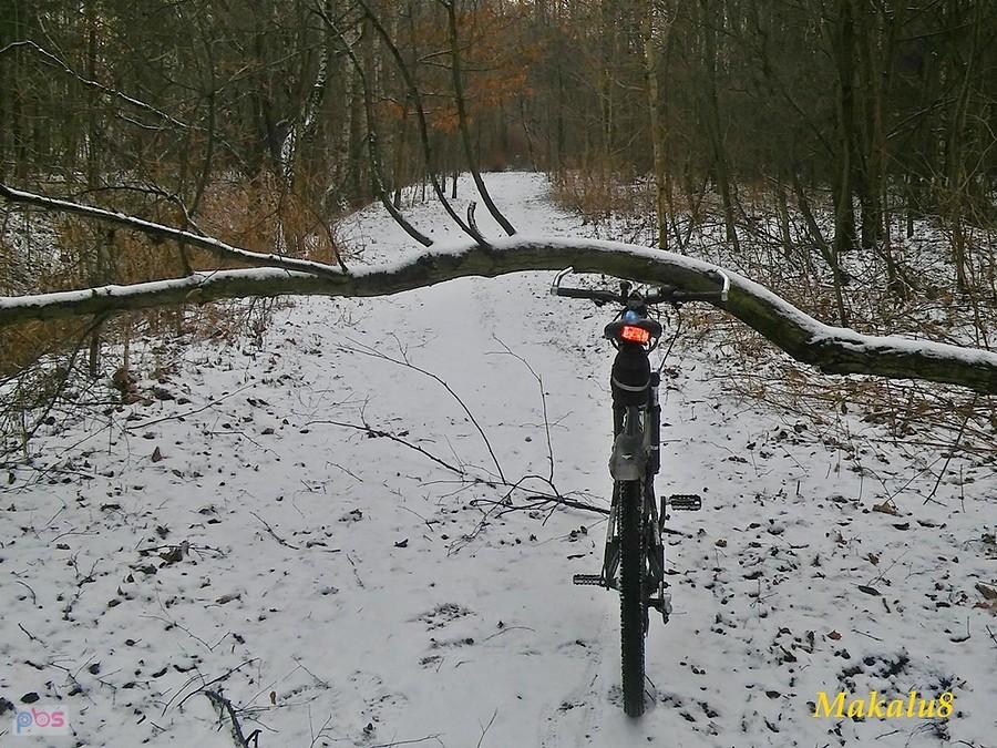 Pogoria-w drodze na "Jedynkę"
