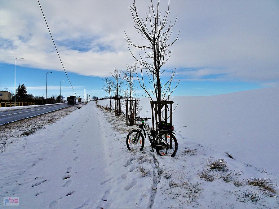 W zimowej scenerii - na rowerze. Okolice Tczewa.