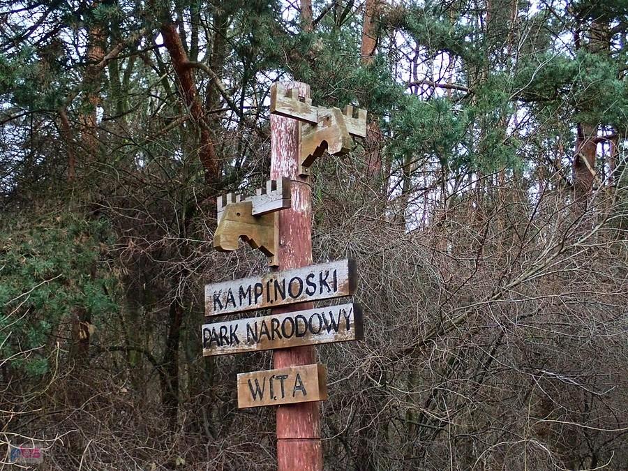 Kampinoski Park Narodowy (wjazd od Leszna)