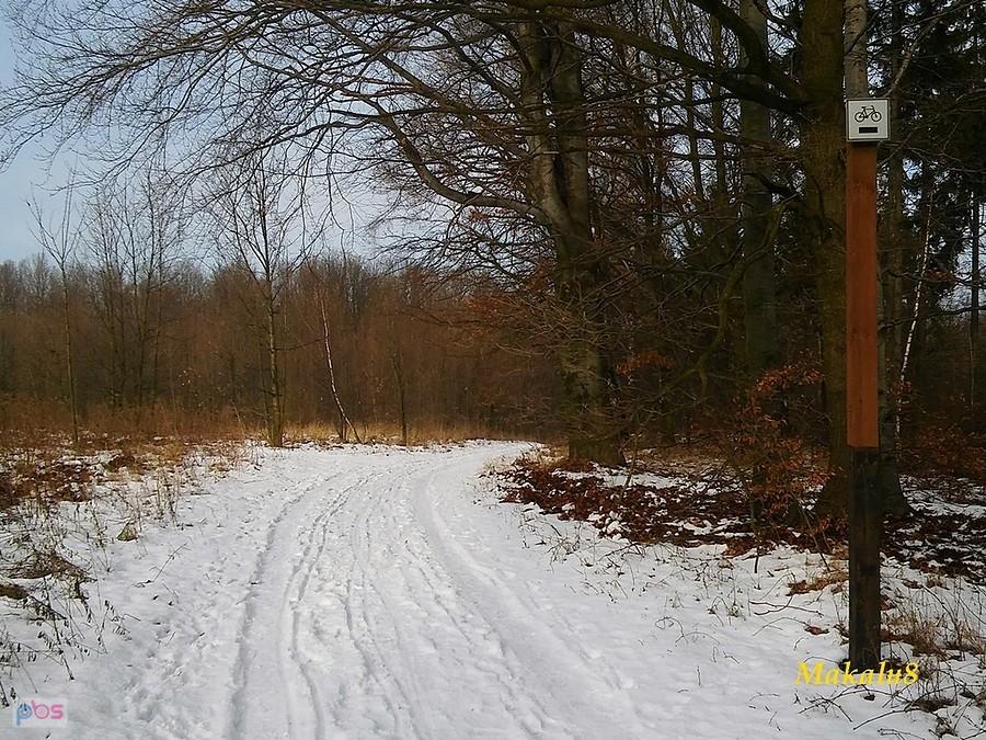 Biały rowerowy