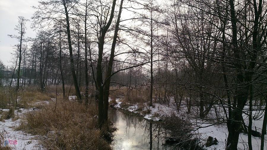 Zimowy widok na Czerniejówkę