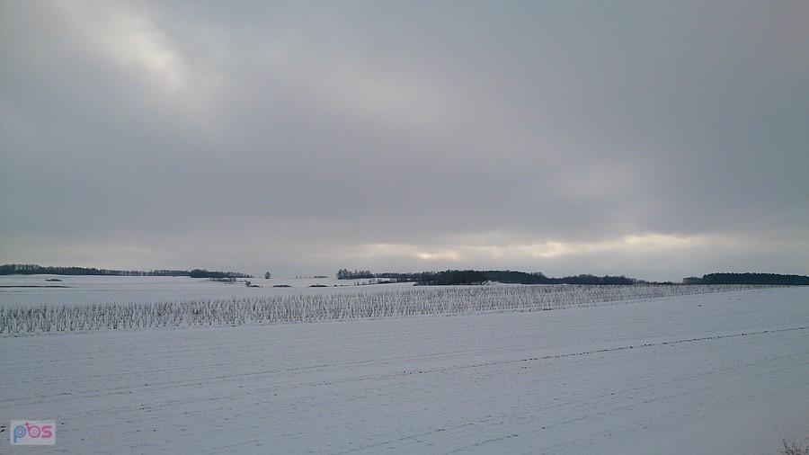Wszędzie śnieżna biel