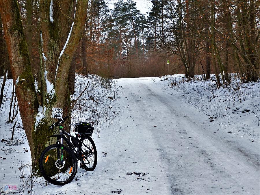 Zima na rowerze - ślizgawica.