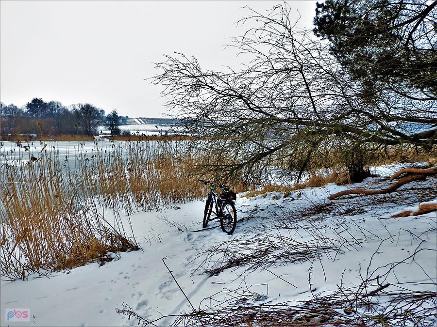 Zima na rowerze - Jezioro Rokickie Duże