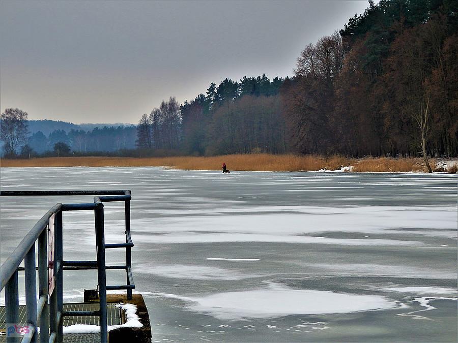 Zamarznięte - Jezioro Rokickie.