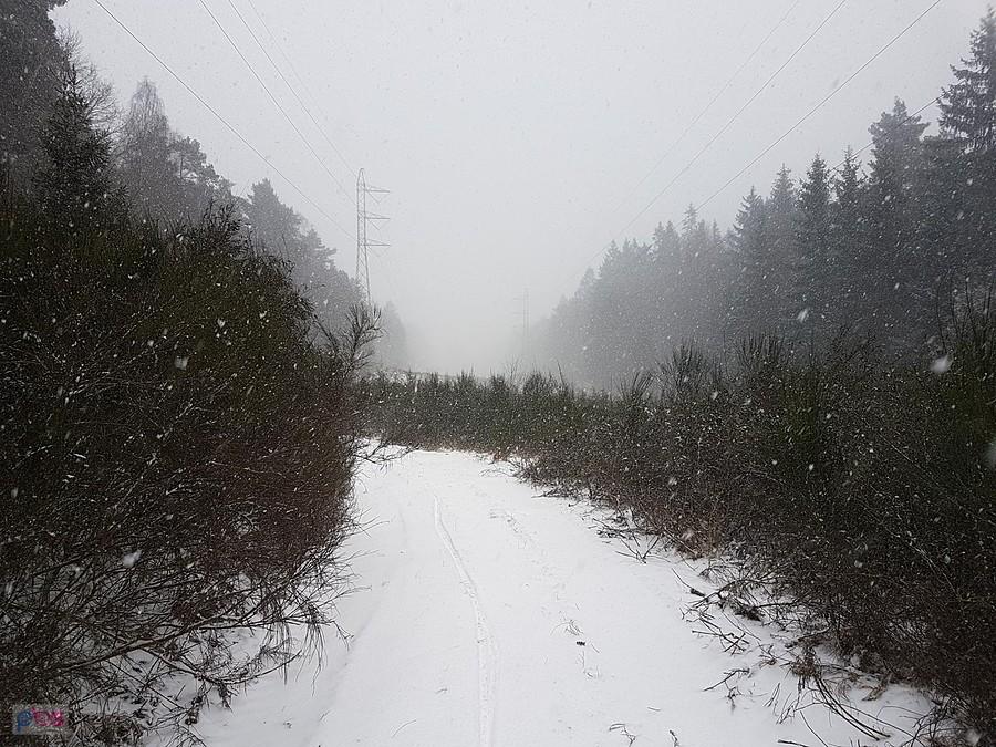 Śniegowy krajobraz