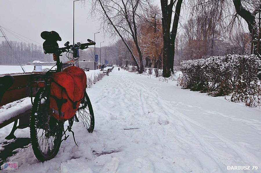 Sosnowiec - Stawiki