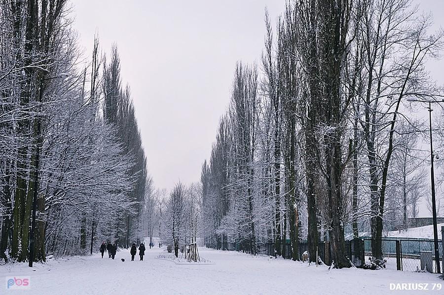 Sosnowiec - Stawiki