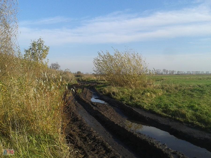 High way. Łęczyca - Tum