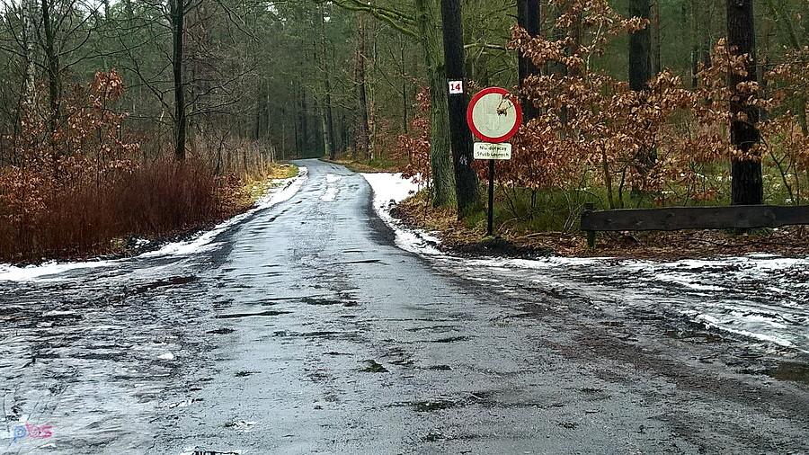 Leśna droga nr 14 - 24 stycznia 18 r.