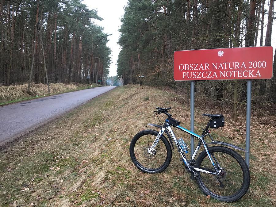 Puszcza Notecka