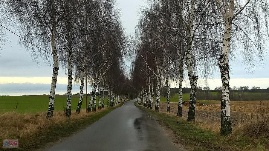 O każdej porze roku urocza trasa Bismark - Blankensee.