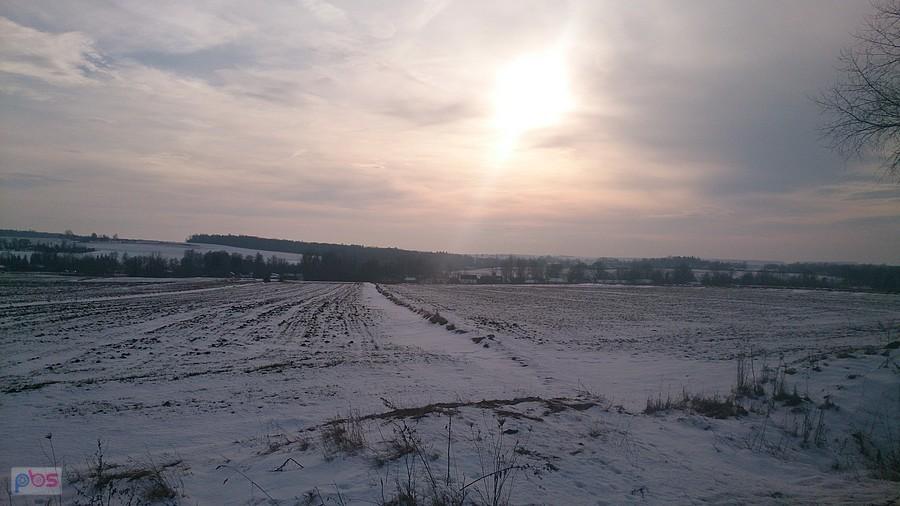 Pola w okolicach Olszowca