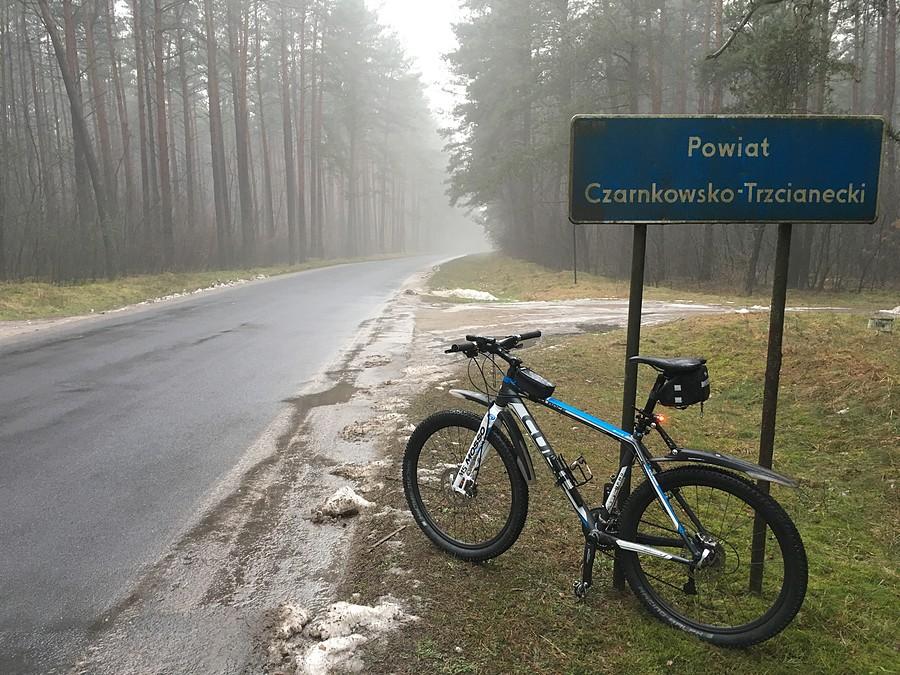 W drodze powrotnej