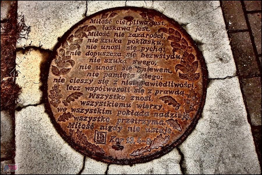 Właz studzienki przy BCM w Brzegu