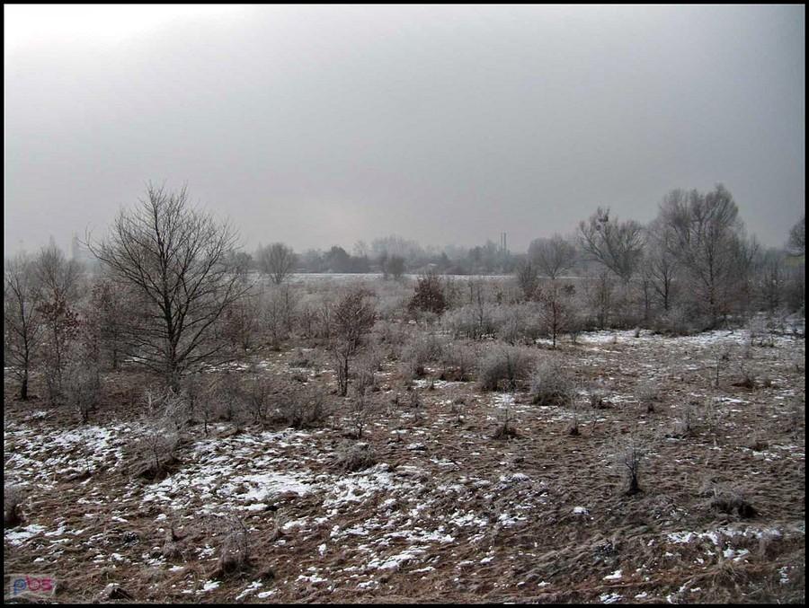 Przejażdżka 29.01.2011